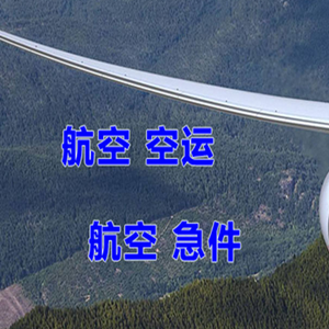 陇南成县航空物流快递-选东方航空和上海航空