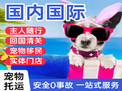 陇南成县航空物流国际宠物托运 【国